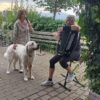 Beitrag La Vie en Rose