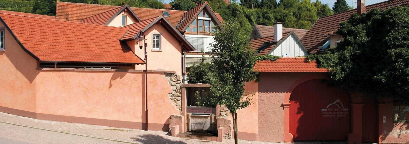 Weingut Schumacher Headerbild